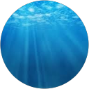 Claire Pech profile picture