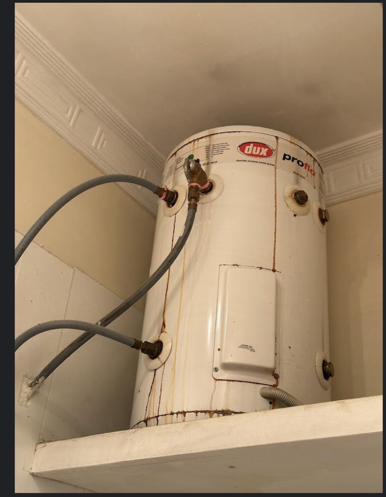50L replacement in North Bondi
