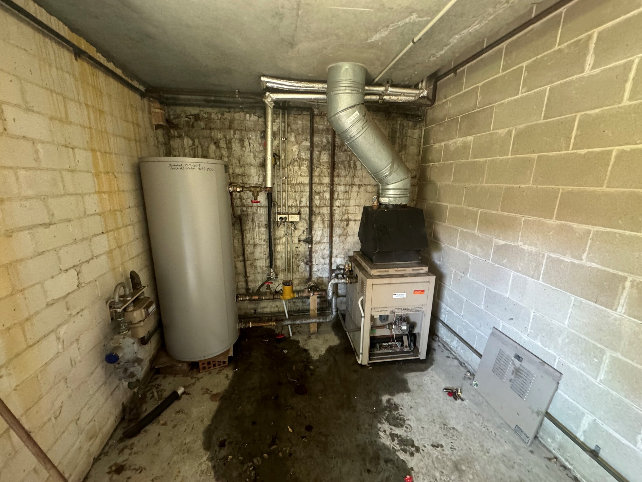 Hot water replacement in Chippendale