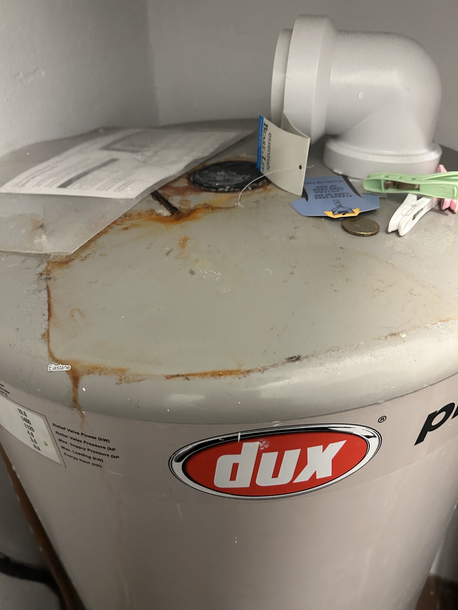 80L service in Cremorne Point