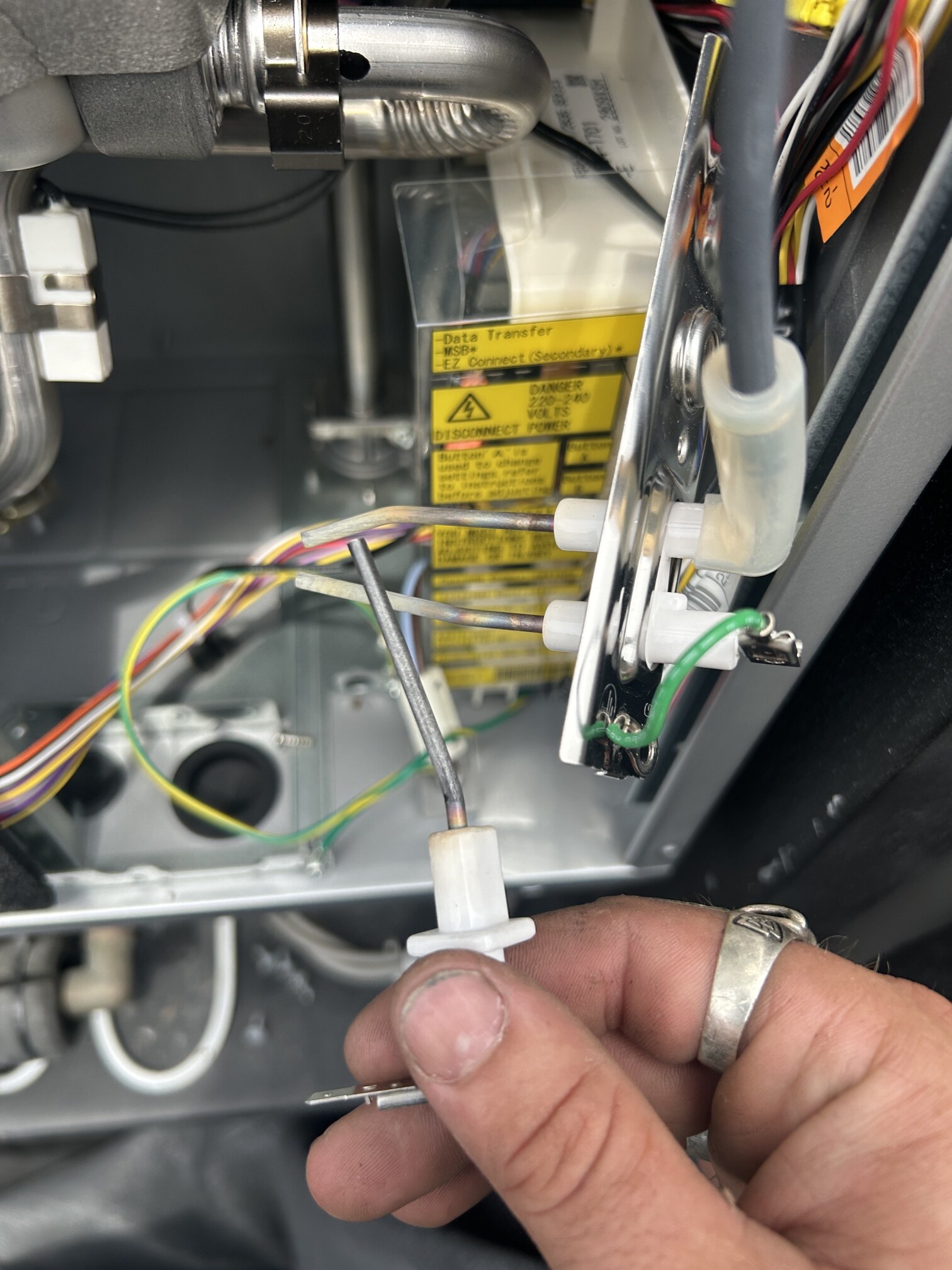 Emergency Hot Water Repairs technician with a new hot water system in Bellevue Hill