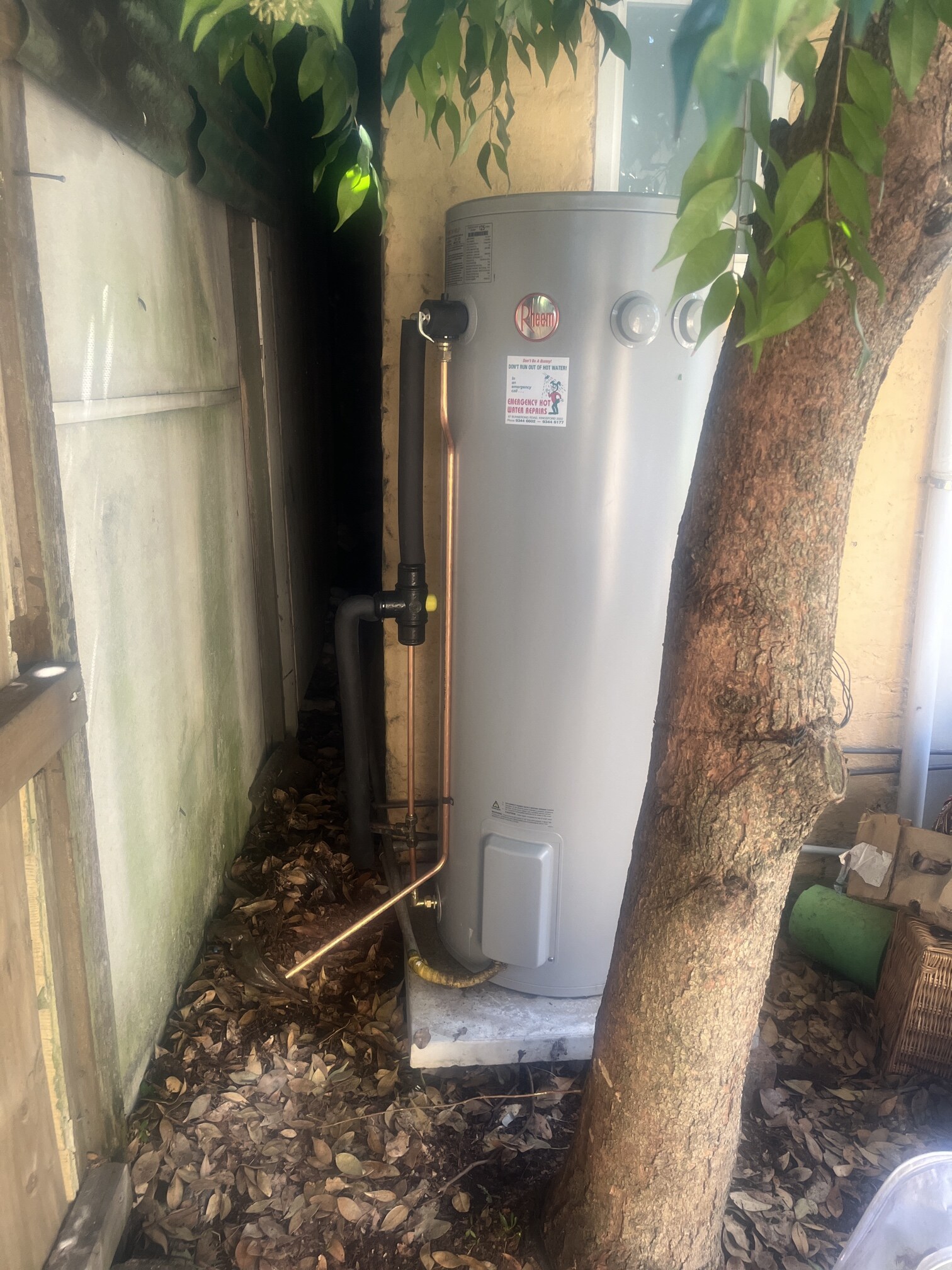 125L repair in Dover Heights