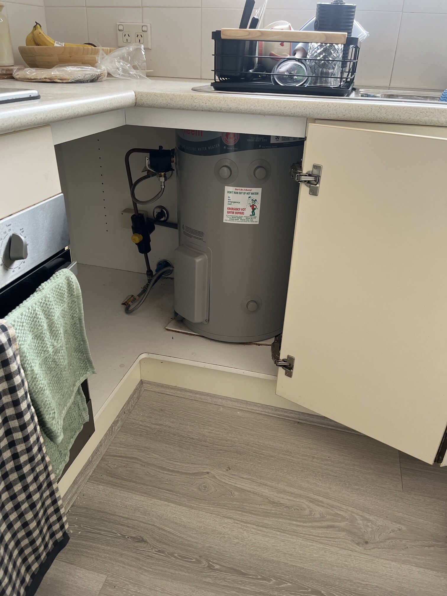 Emergency Hot Water Repairs technician with a new hot water system in Birchgrove