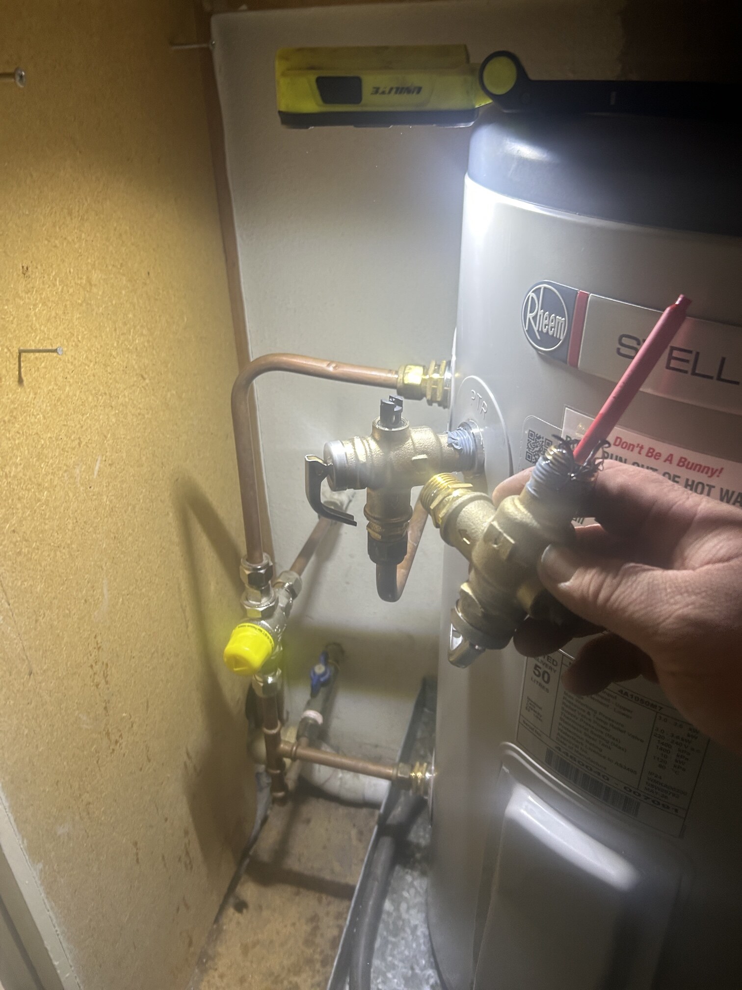 Emergency Hot Water Repairs technician with a new hot water system in Mortdale