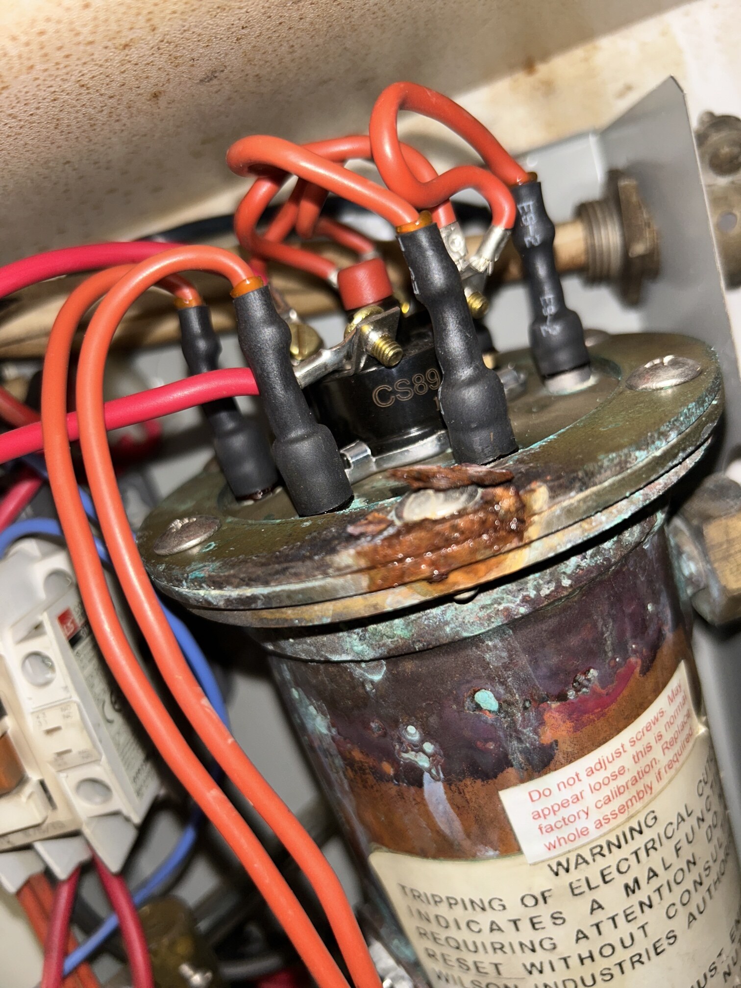 Wilson hot water system in Hillsdale