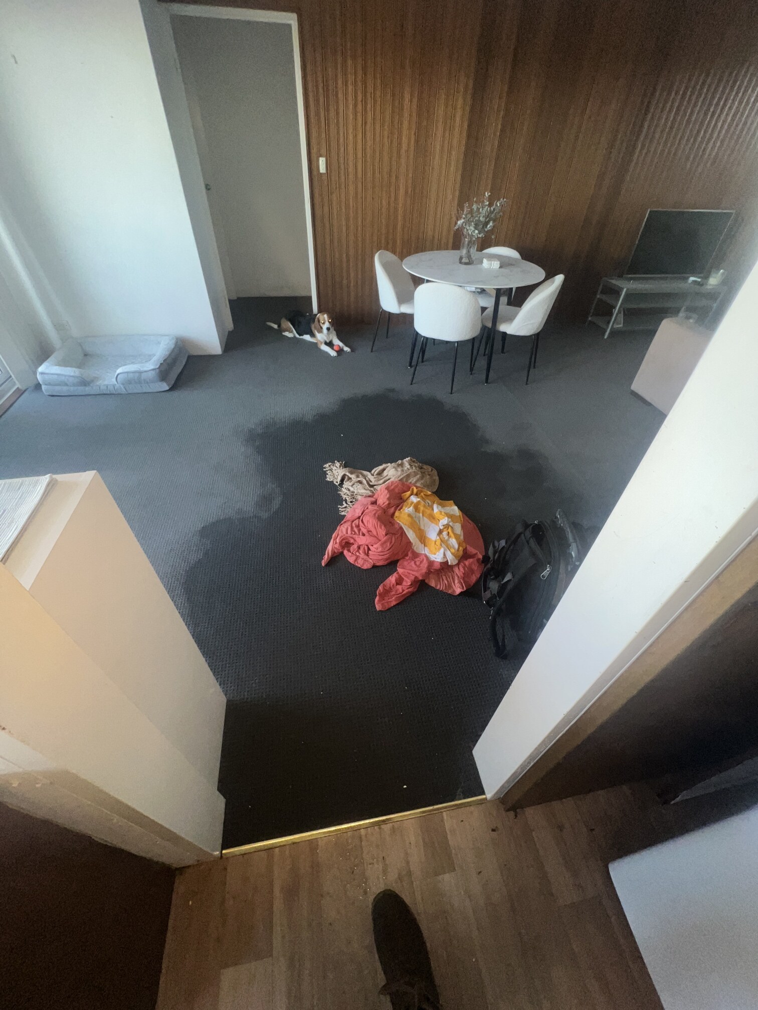 Emergency Hot Water Repairs technician with a new hot water system in Croydon Park