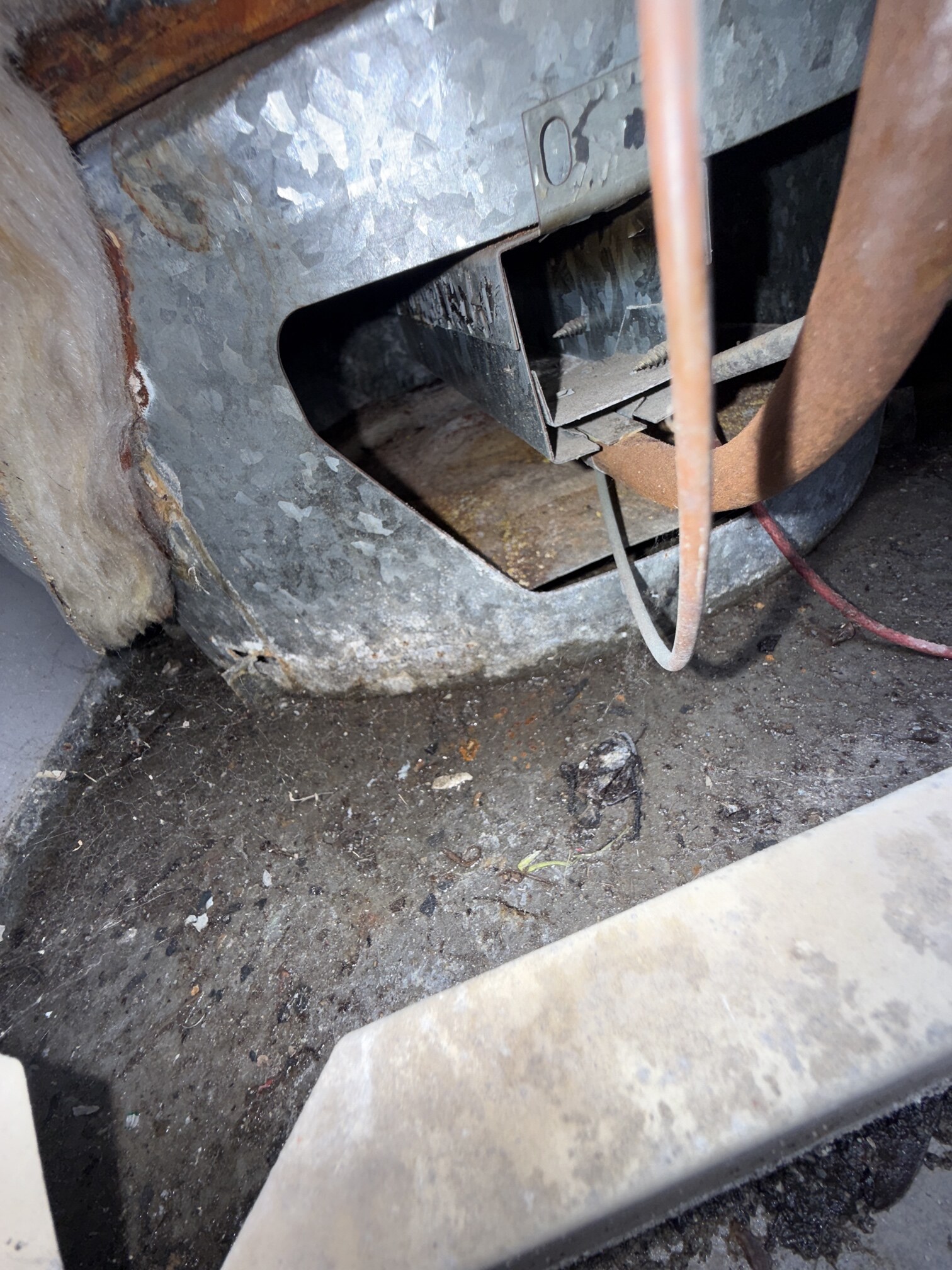 Emergency Hot Water Repairs technician with a new hot water system in Canada Bay