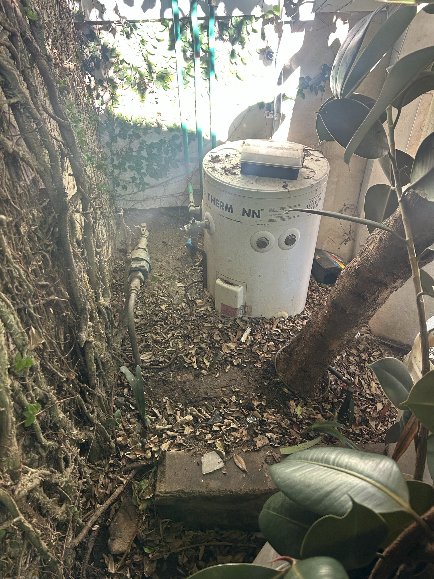 Emergency Hot Water Repairs technician with a new hot water system in Oatley