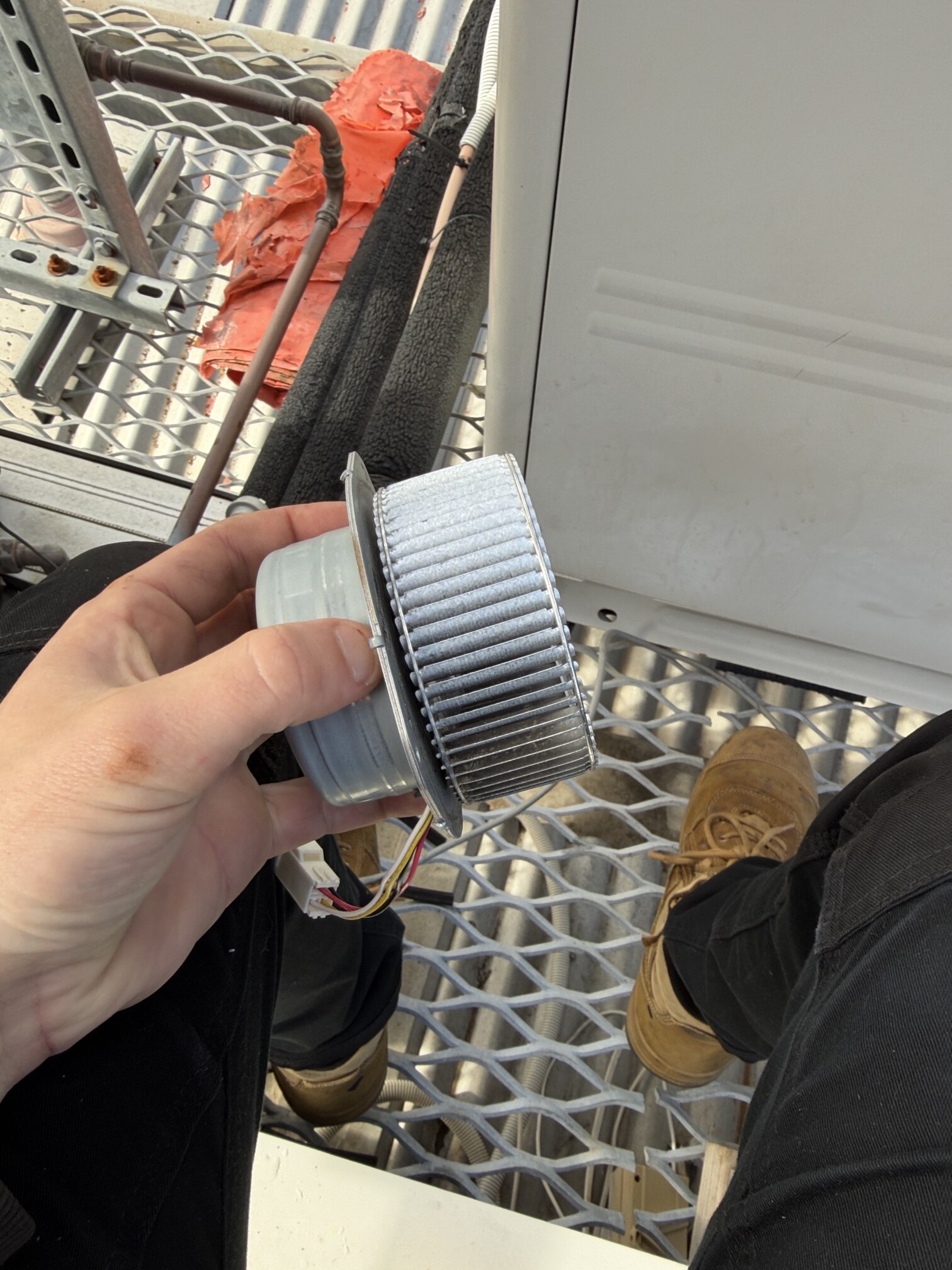 Rinnai continuous flow service in Paddington