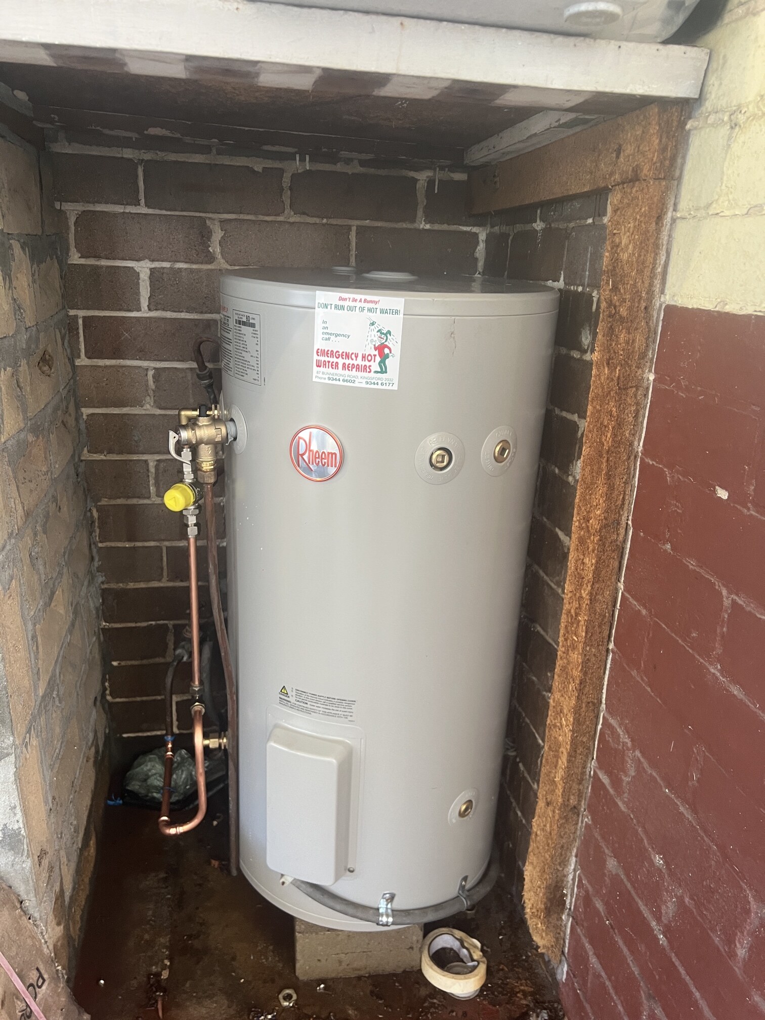 Emergency Hot Water Repairs technician with a new hot water system in Balmain