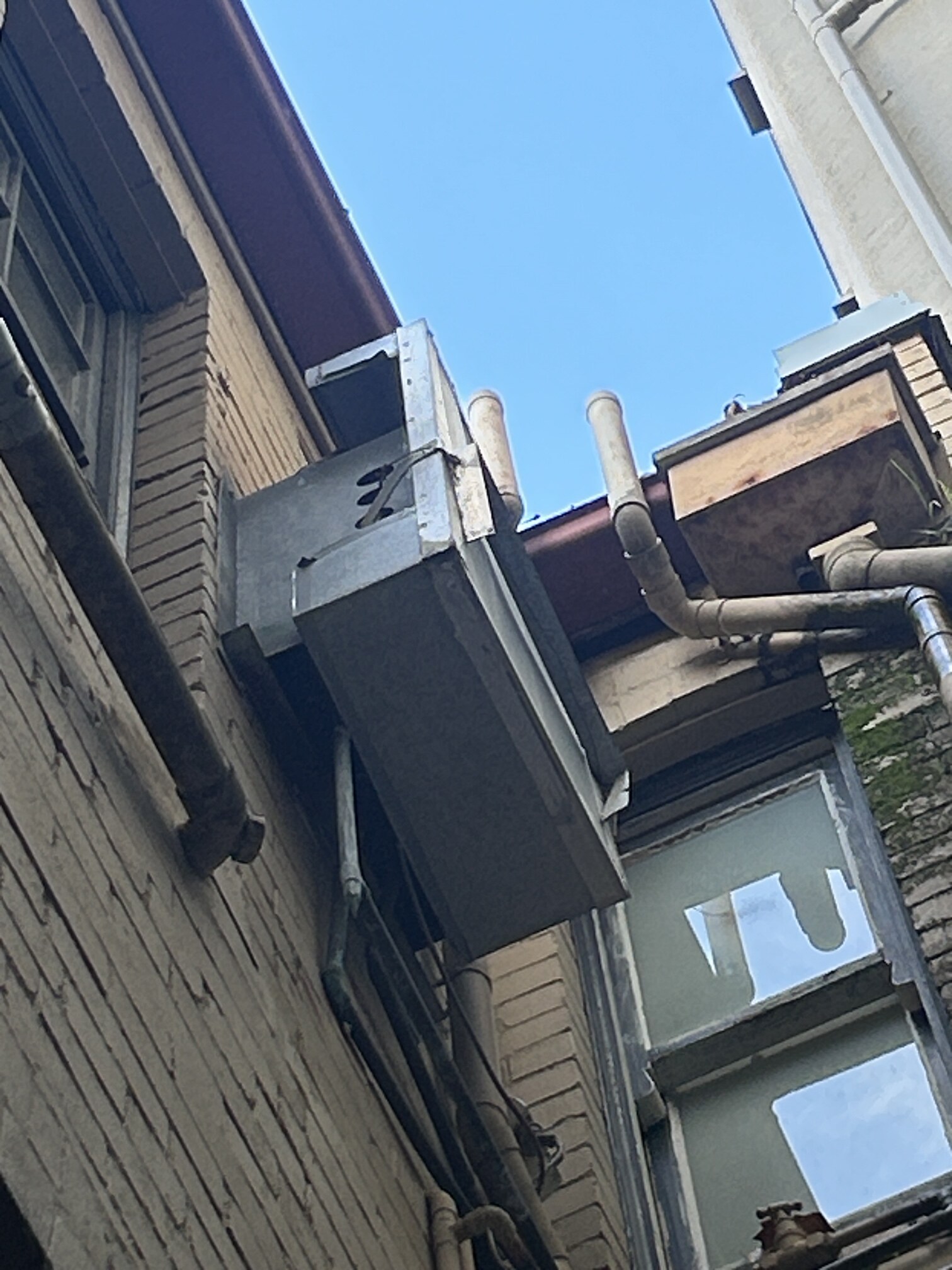 Emergency Hot Water Repairs technician with a new hot water system in Dover Heights